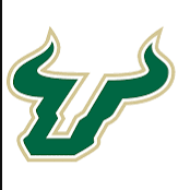 University of South Florida