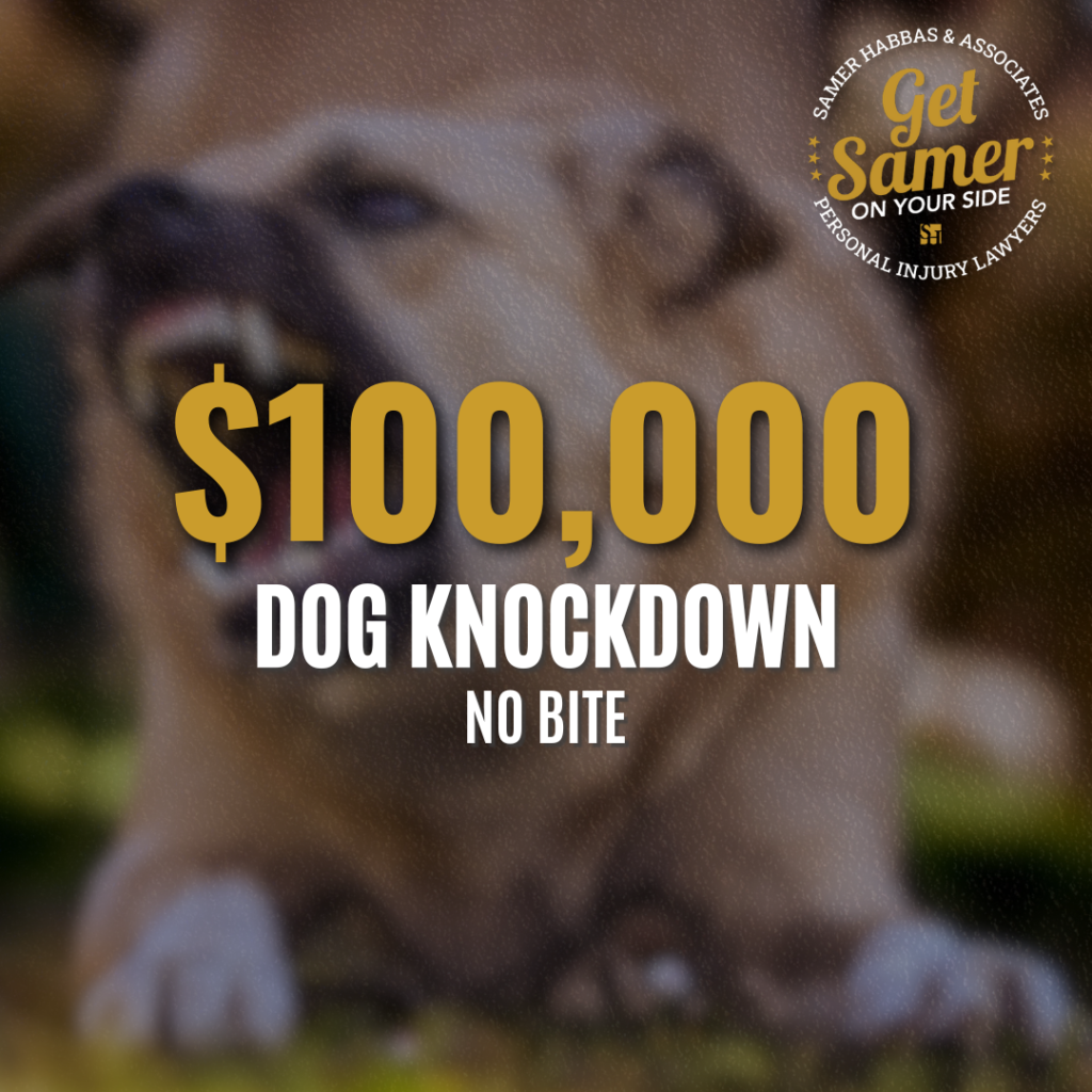 Dog Knockdown (No bite)