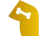 Practice Area Icon